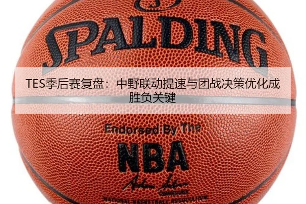 TES季后赛复盘：中野联动提速与团战决策优化成胜负关键